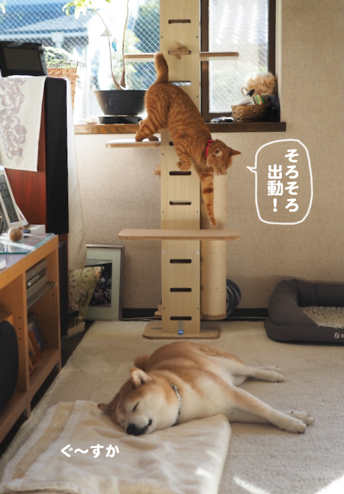 27日ブログ５