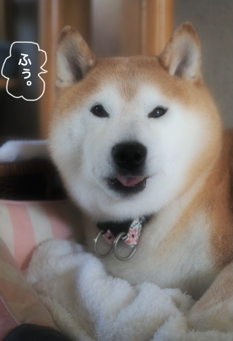 23日ブログ５