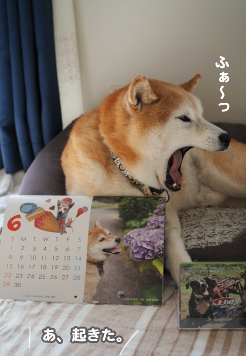 18日夕ブログ６
