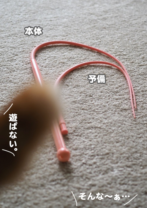 4日夕ブログ１４
