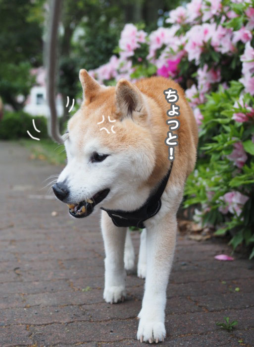 22日ブログ３