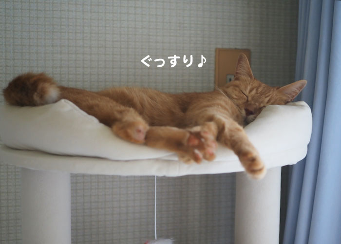 10日夕ブログ３