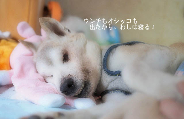 7日ブログ5