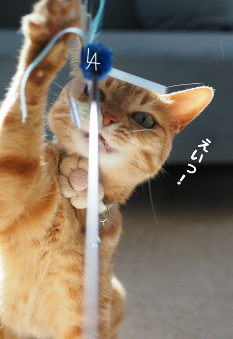 16日ブログ２