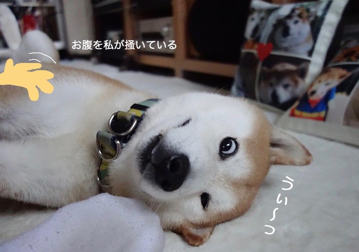22日朝ブログ5