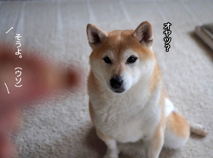 10日ブログ４