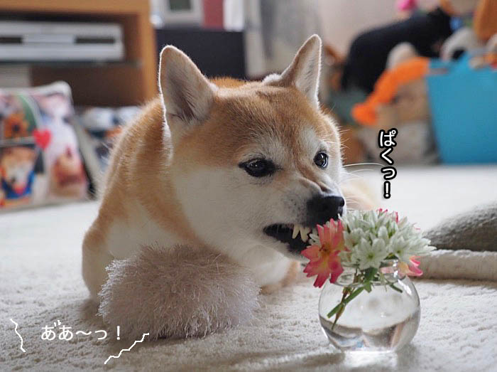 5日夜ブログ３