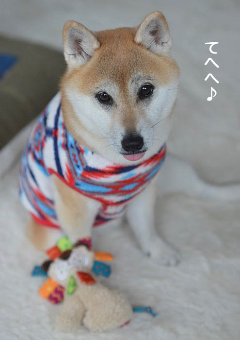 28日午後ブログ7