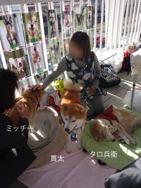 23日ブログ4