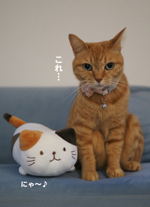 2日夕ブログ７
