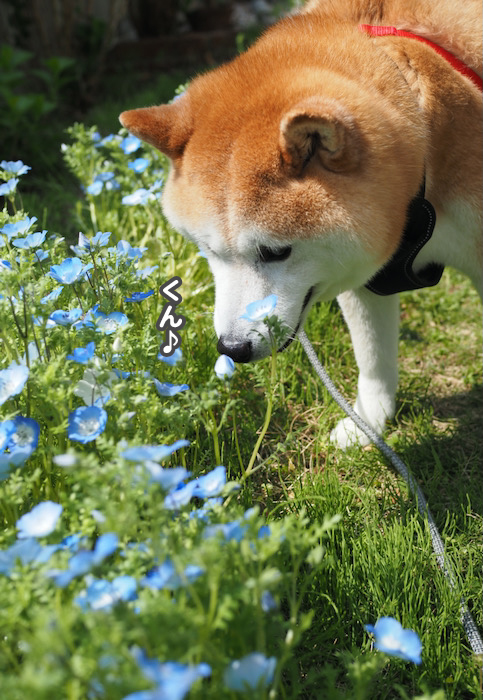 8日ブログ３