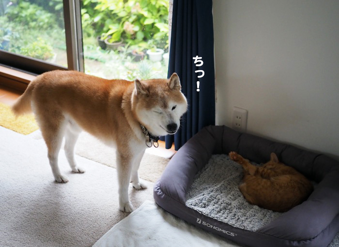 11日ブログ１２
