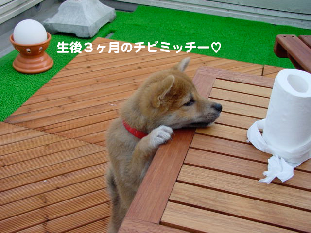 1日夕ブログ１４