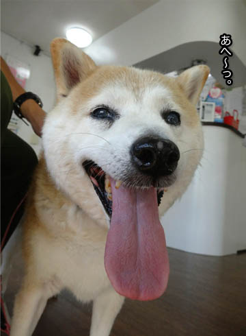 8日ブログ5.jpg