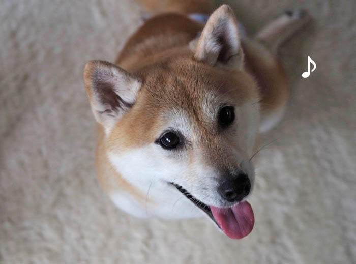 6日ブログ9