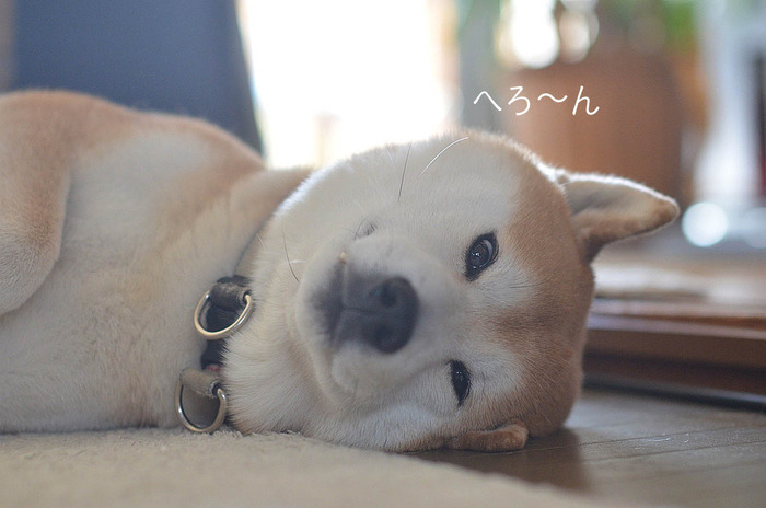 23日ブログ6