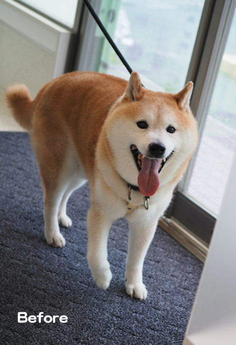 21日夕ブログ１１