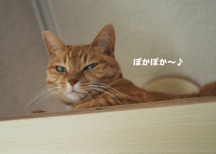 11日ブログ３