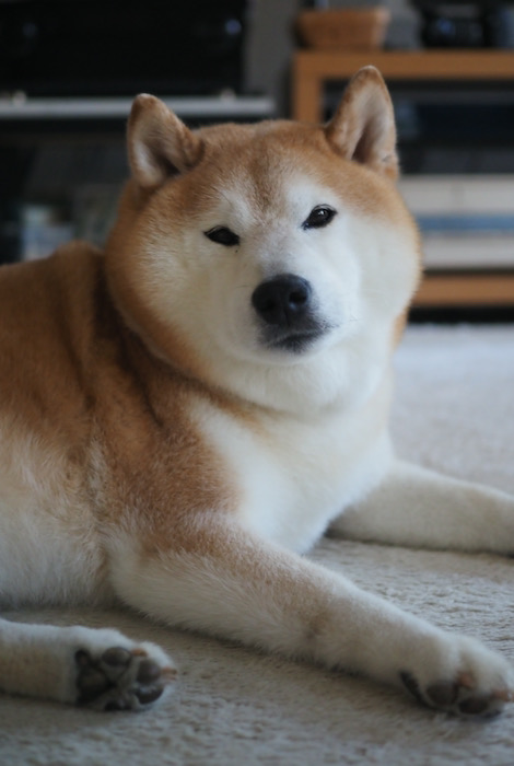 30日ブログ１