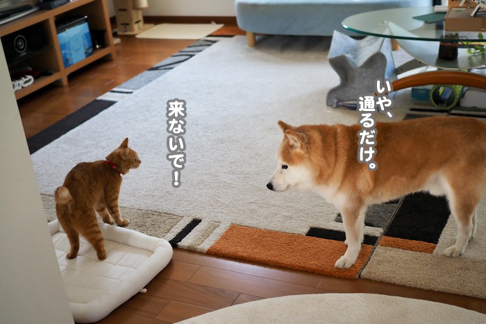 3日ブログ２