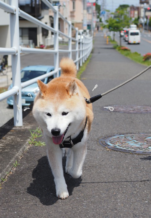 16日夕ブログ3