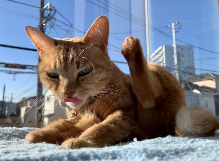 17日ブログ４