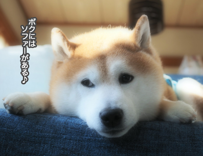 16日ブログ７