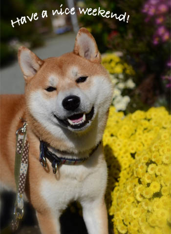 16日ブログ12.jpg