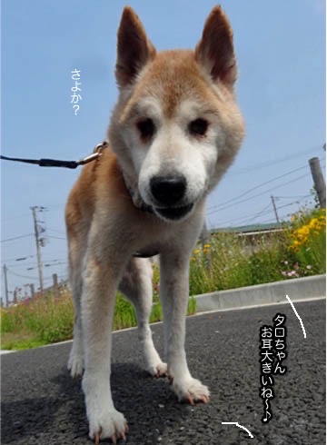 27日夕ブログ６