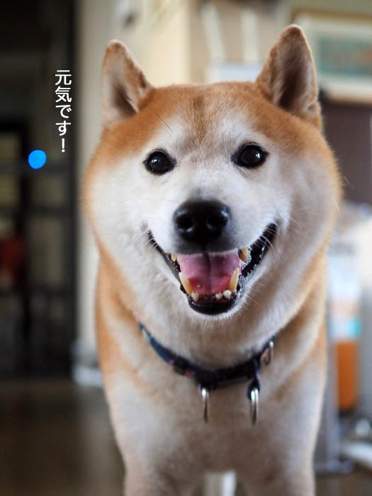 11日夜ブログ２