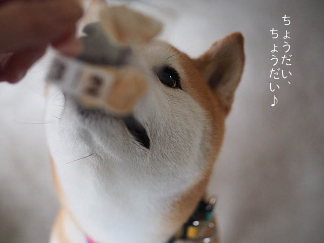 25日ブログ17