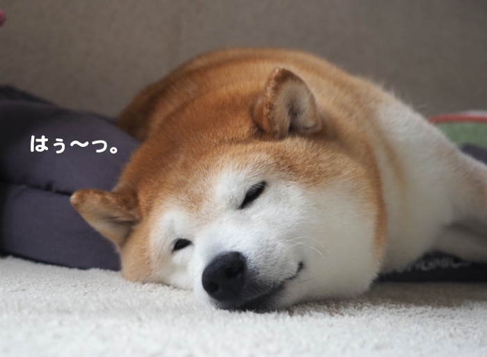 16日夕ブログ７
