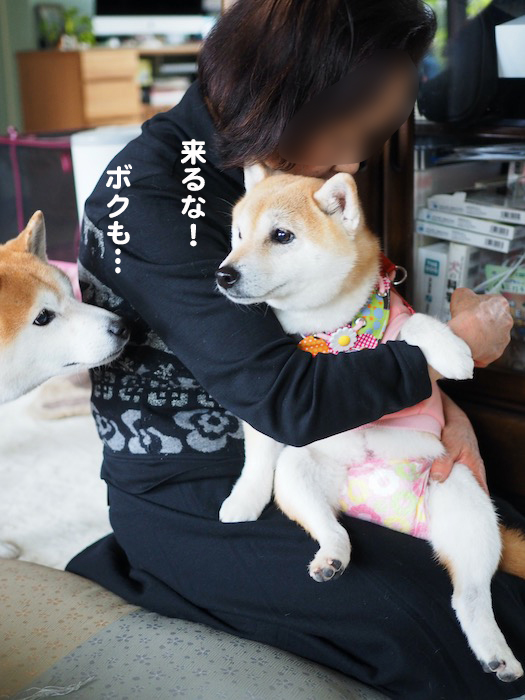 21日ブログ６