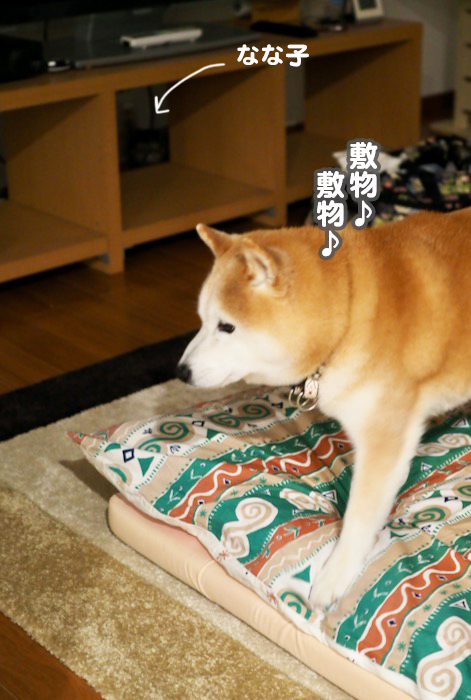 15日ブログ４