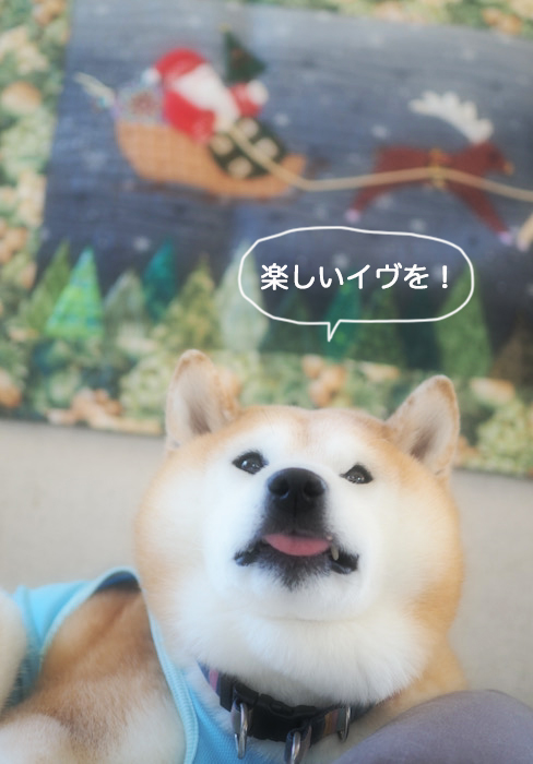 24日夜ブログ８
