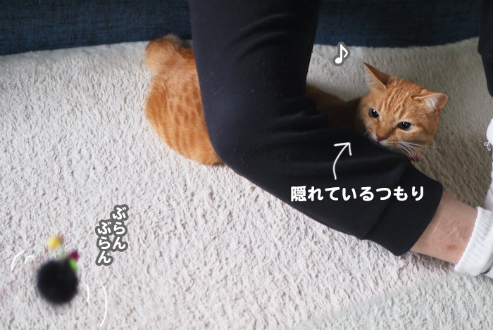 15日夕ブログ３