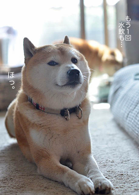 25日ブログ9