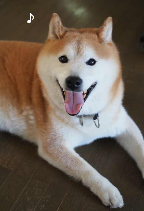 5日ブログ１