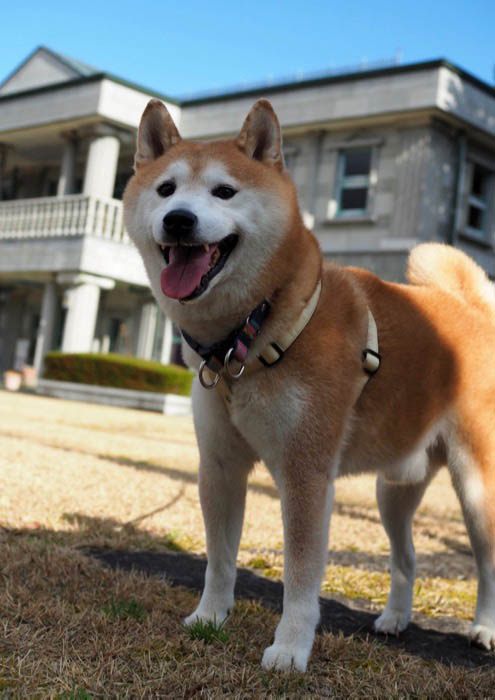 14日夜ブログ４