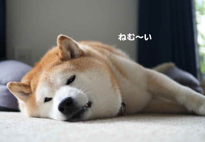8日夕ブログ2