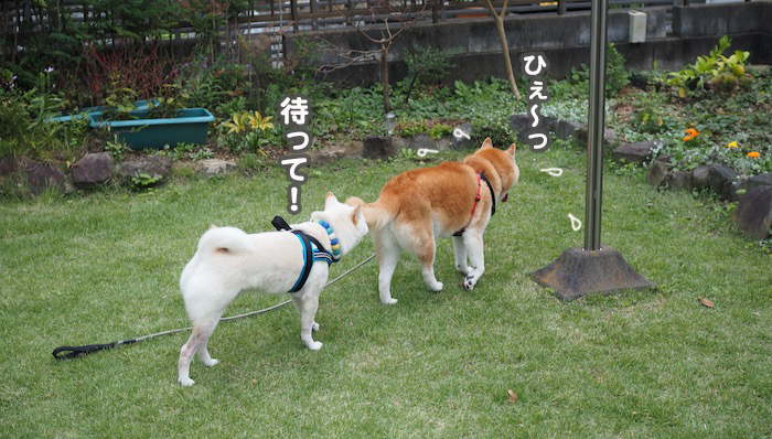 7日夕ブログ２２