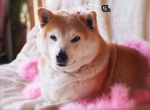 28日ブログ10.jpg