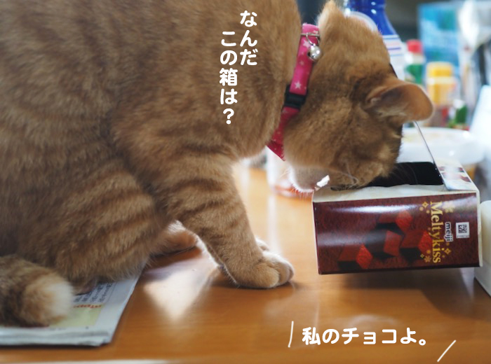 30日ブログ６