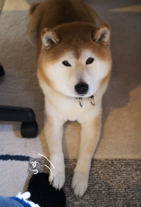 22日ブログ２
