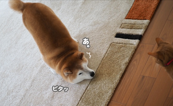 30日ブログ３