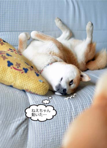 23日ブログ4.jpg