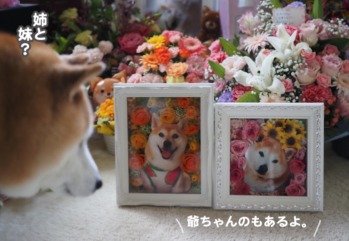 1日夕ブログ３