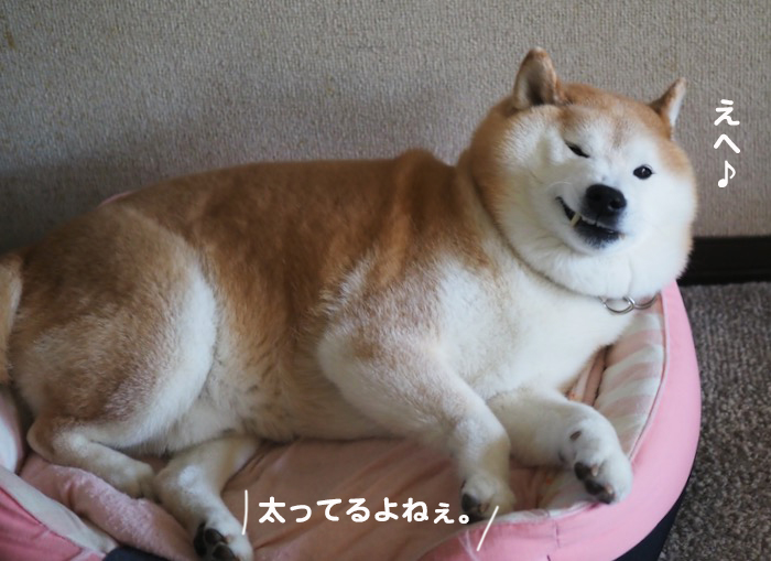 6日ブログ３