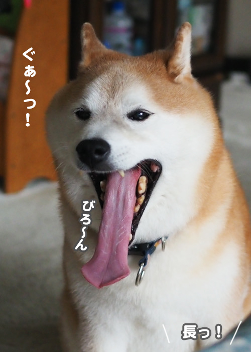 6日夕ブログ９