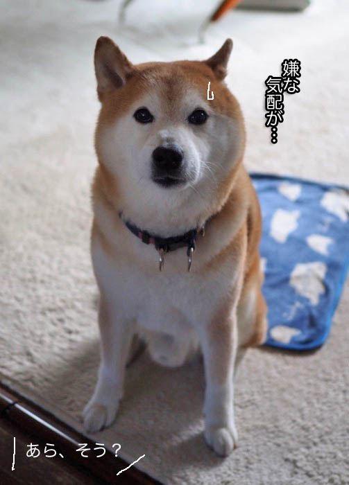 4日夕ブログ２